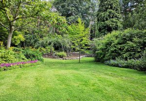 Optimiser l'expérience du jardin à Champ-le-Duc